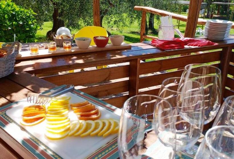 １ベッドルームアパートメント, Agriturismo Da Nonna Argia