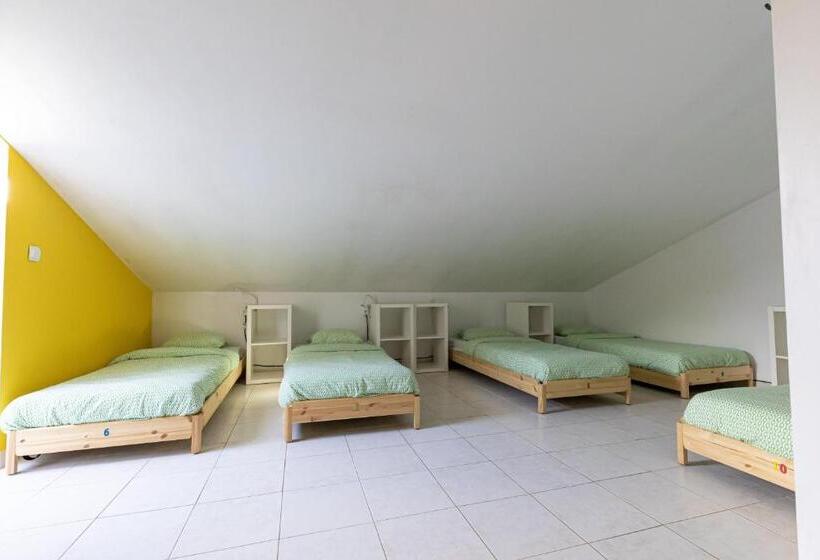 Кровать в Общей Комнате, Pineapple Surf House