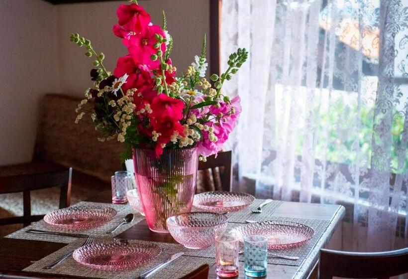 اتاق سوپریور خانوادگی, Grancharova Guest House
