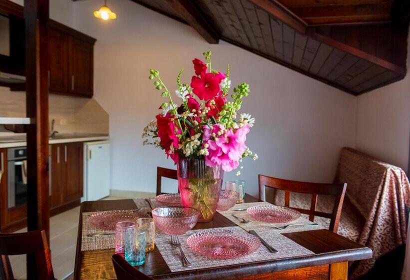 اتاق سوپریور خانوادگی, Grancharova Guest House