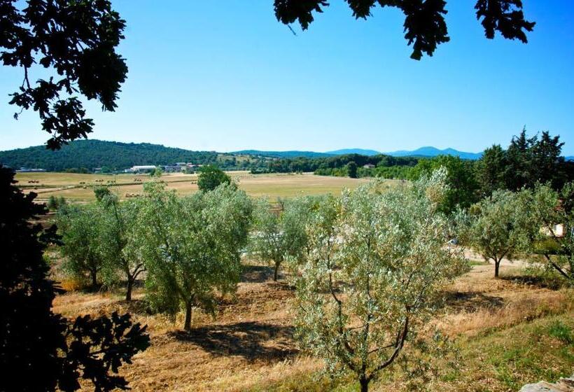 Апартаменты 1 Спальня, Agriturismo San Lino Gilberto