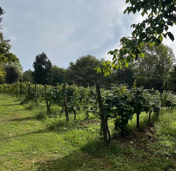 Вилла 3 Спальни, Quinta Da Chouza Agroturismo E Enoturismo