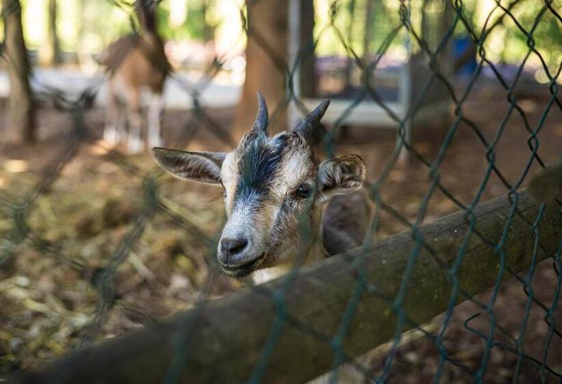 Номер Стандарт Вид на Озеро, Quinta Da Chouza Agroturismo E Enoturismo