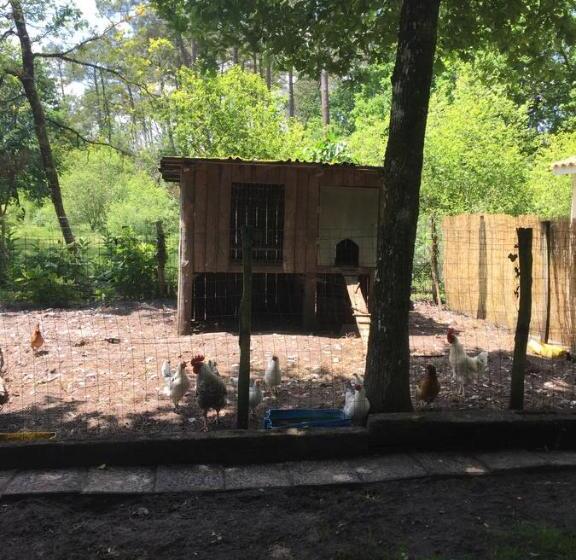 Номер Стандарт Вид на Сад, La Maison De Caroline