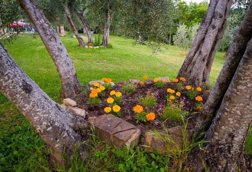 Дом 1 Спальня, Agriturismo Bindozzino