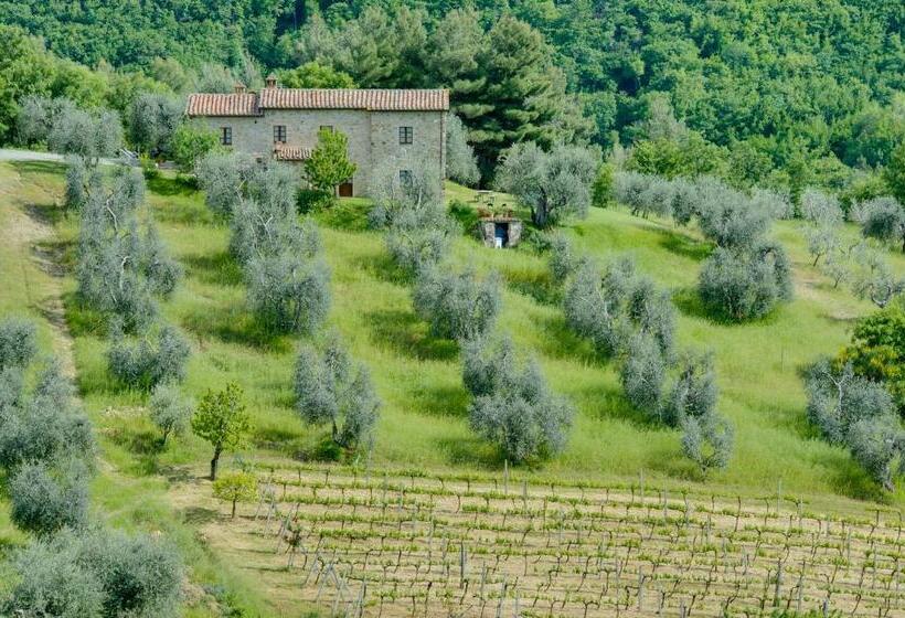 Дом 1 Спальня, Agriturismo Bindozzino
