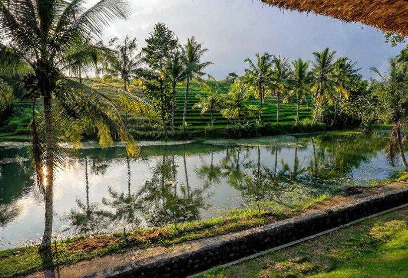 수피리어 방갈로, Alam Taman Villa