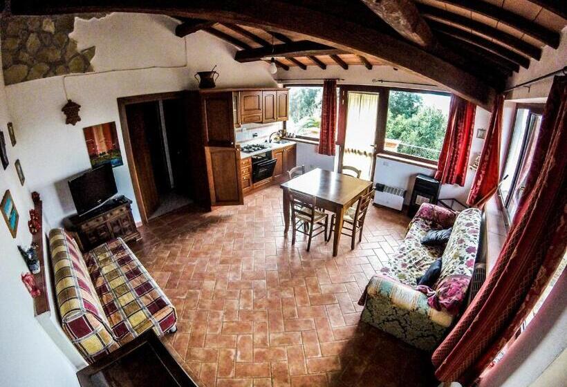 Apartamento 1 Dormitório com Sacada, Villa Enli