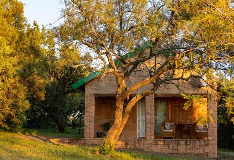 Люкс, Olive Tree Farm