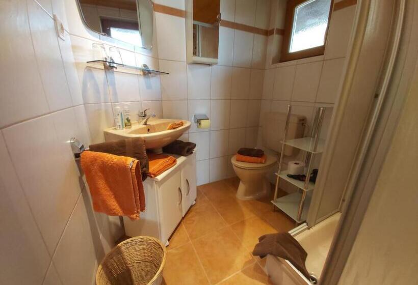 Апартаменты 3 Спальни, Mesnerhof Virgen
