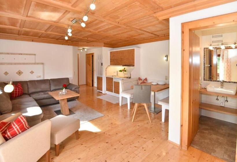 آپارتمان 2 خوابه با بالکن, Landhaus Trinker