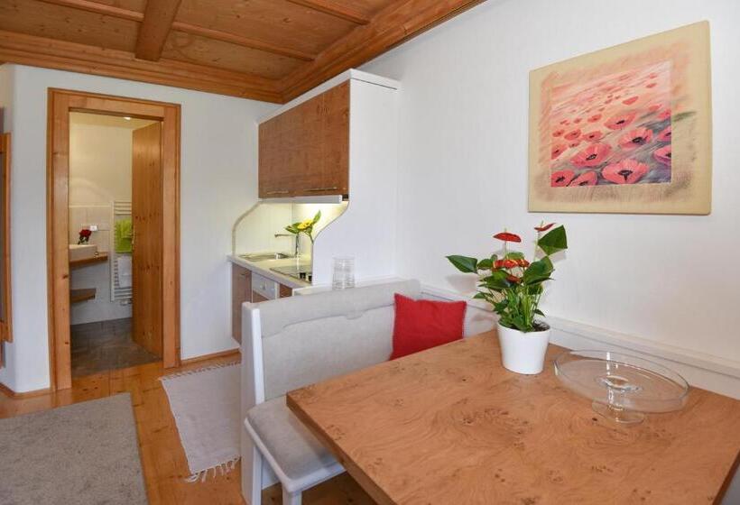 استودیو استاندارد با بالکن, Landhaus Trinker