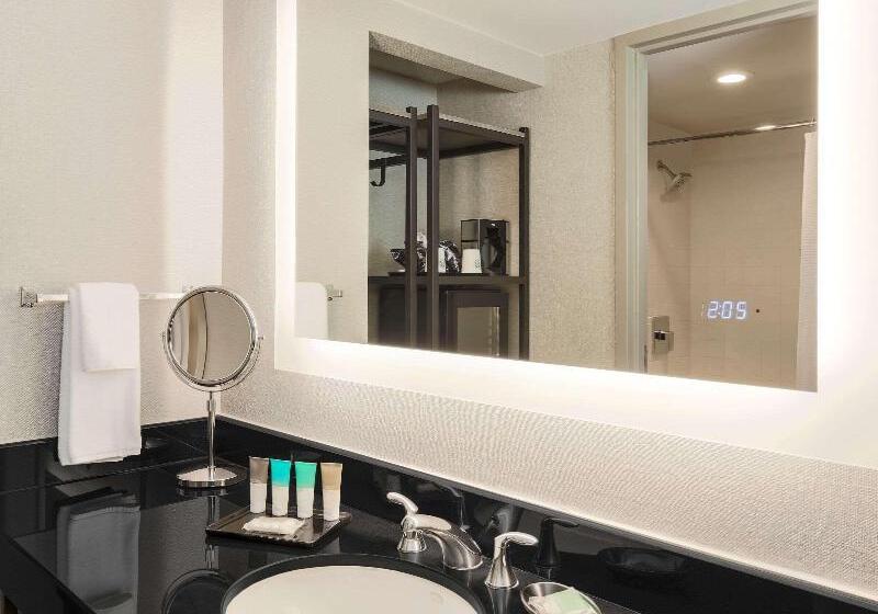 Стандартный Номер Кровать Кинг, Hilton Richardson Dallas