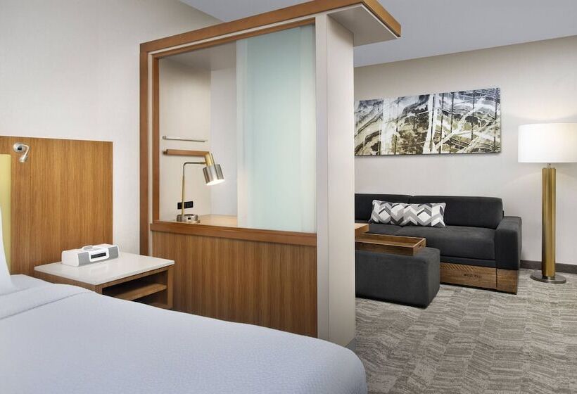 Студия Стандарт, Springhill Suites Potomac Mills Woodbridge