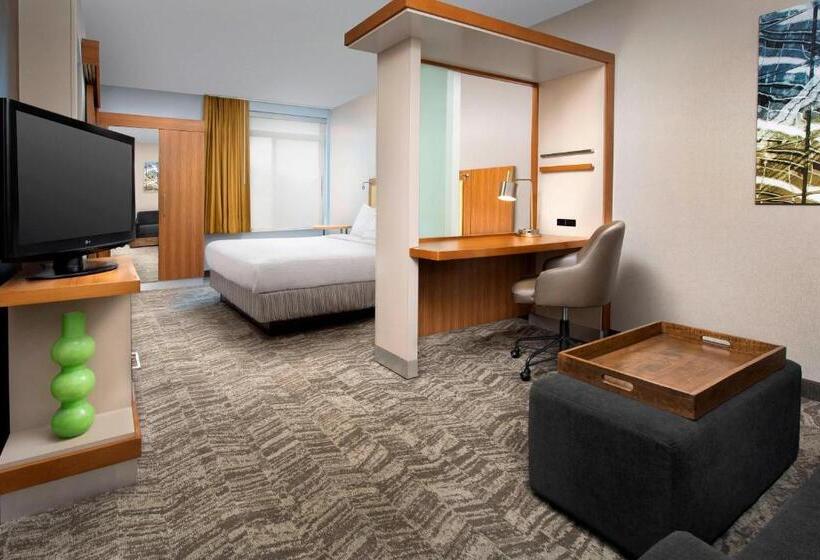 Студио Стандарт Кровать Кинг, Springhill Suites Potomac Mills Woodbridge