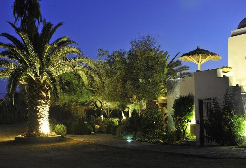 Апартаменты 1 Спальня, Ammos Naxos Exclusive Apartments & Studios