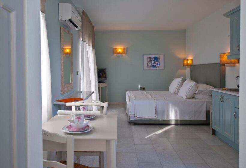 Студия Deluxe, Ammos Naxos Exclusive Apartments & Studios