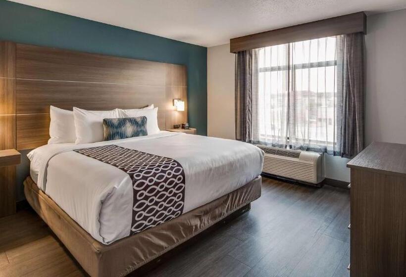 Mozgáskorlátozott Standard Szoba King Size Bed, Best Western  Plus Champaign/urbana Inn