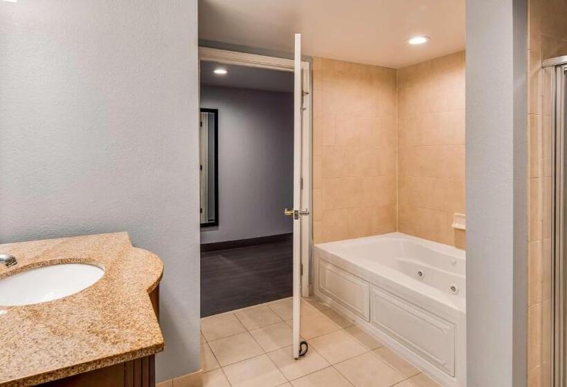 Suite King Size Bed, Best Western  Plus Champaign/urbana Inn