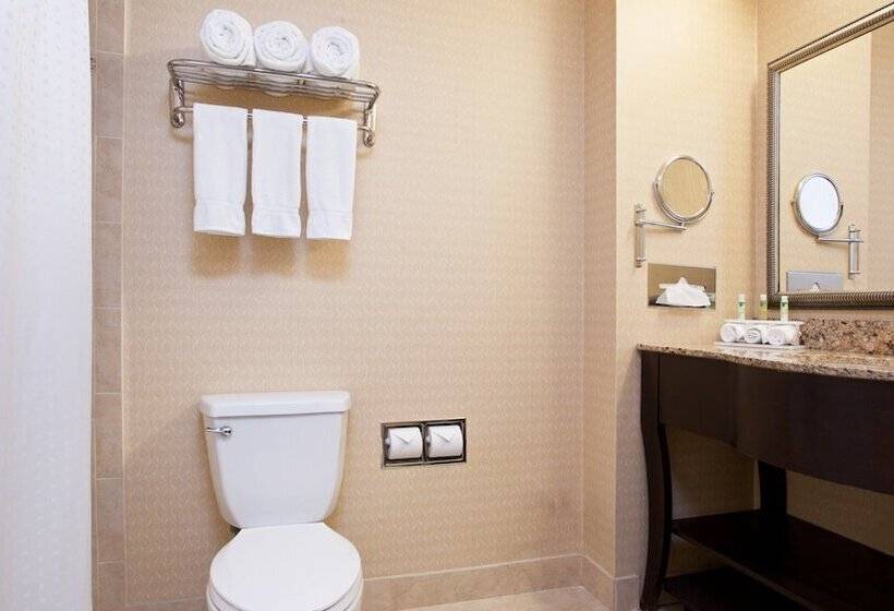 适合残疾人士使用的套间, Holiday Inn Express And Suites Allentown West, An Ihg