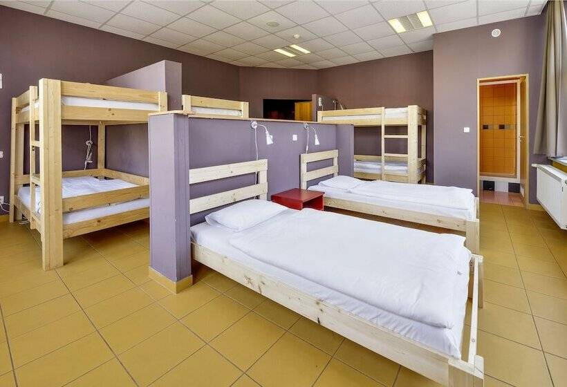 تختخواب در اتاق مشترک, Plus Prague