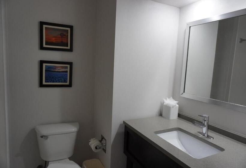 Номер Стандарт, Comfort Inn & Suites Frisco   Plano