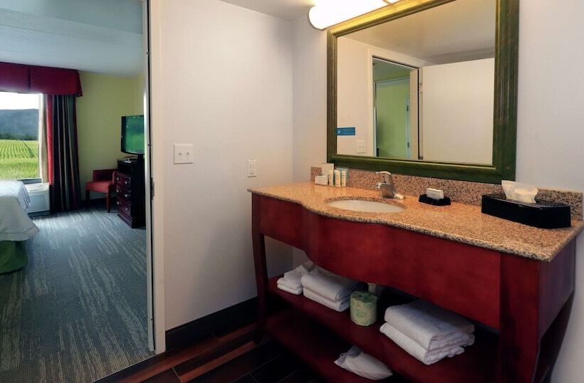 자쿠지 스위트, Hampton Inn & Suites Lamar