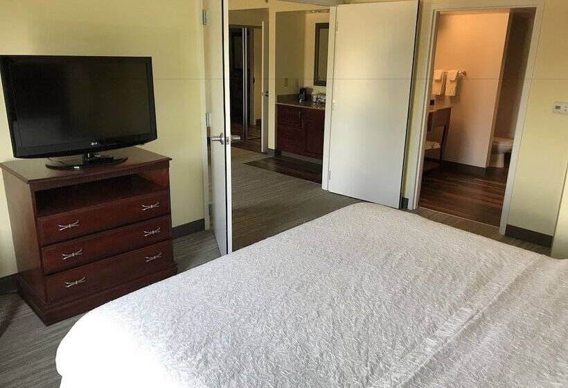 자쿠지 스위트, Hampton Inn & Suites Lamar