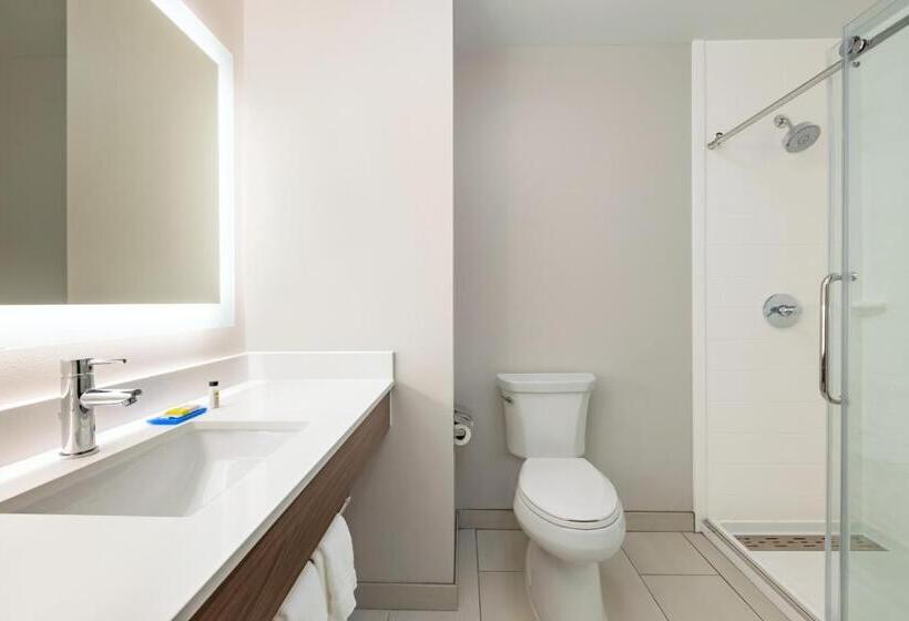 Номер Стандарт, Holiday Inn Express Hotel & Suites Opelika Auburn, An Ihg