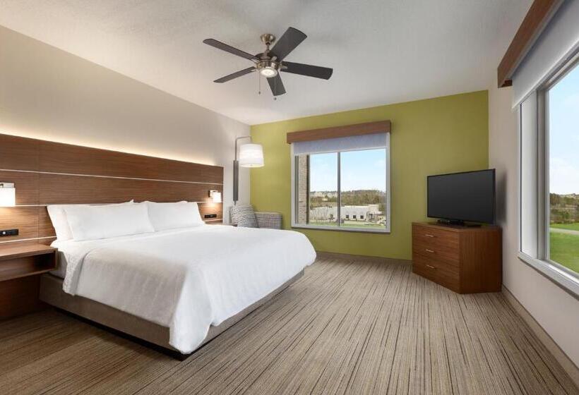 חדר אקזקיוטיב חדר קינג, Holiday Inn Express Hotel & Suites Opelika Auburn, An Ihg