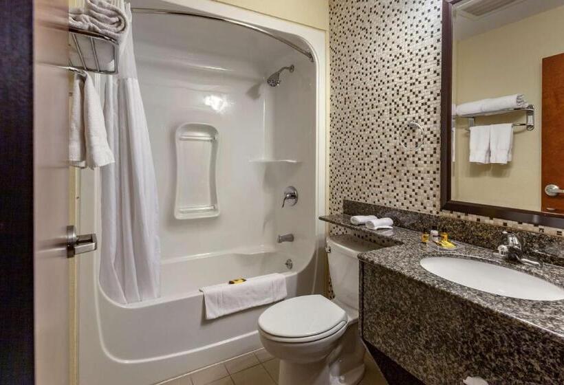 Люкс Deluxe Кровать Кинг, Best Western Plus Woodstock Inn & Suites