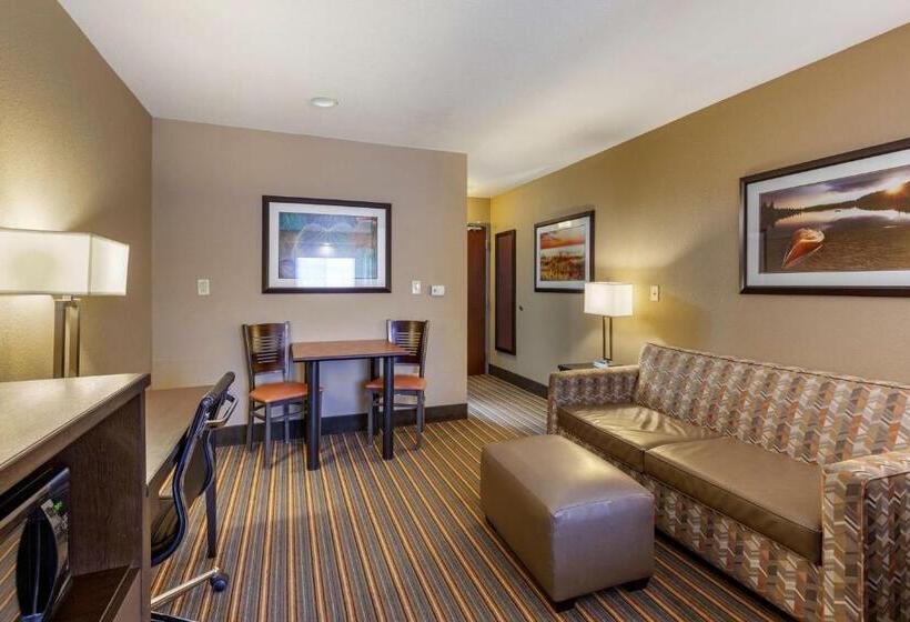 Полулюкс, Best Western Plus Woodstock Inn & Suites