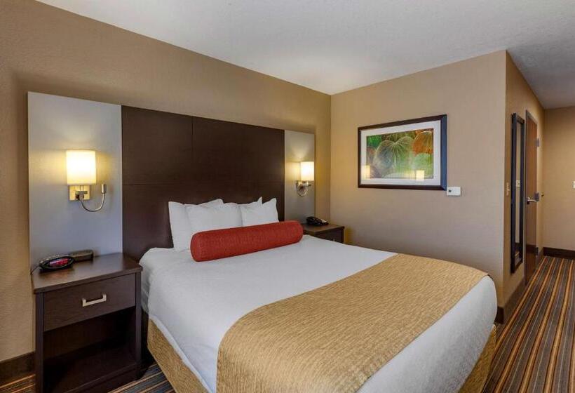 Quarto Estandar Cama King, Best Western Plus Woodstock Inn & Suites