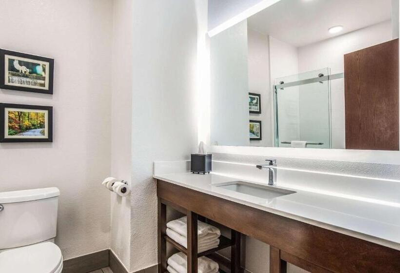 Стандартный Номер Кровать Кинг, Comfort Inn & Suites