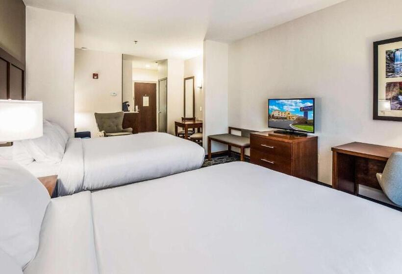 Люкс Адаптированный для Инвалидов, Comfort Inn & Suites