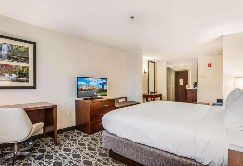 Люкс Адаптированный для Инвалидов, Comfort Inn & Suites
