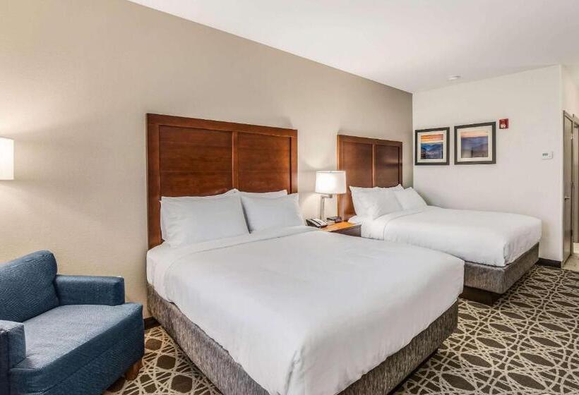 Люкс Адаптированный для Инвалидов, Comfort Inn & Suites