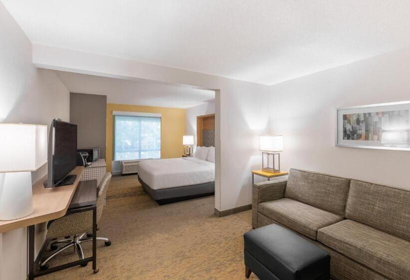 Номер Стандарт Кровать Кинг Адаптированный для Инвалидов, Holiday Inn Hotel & Suites   Orange Park   Wells Rd