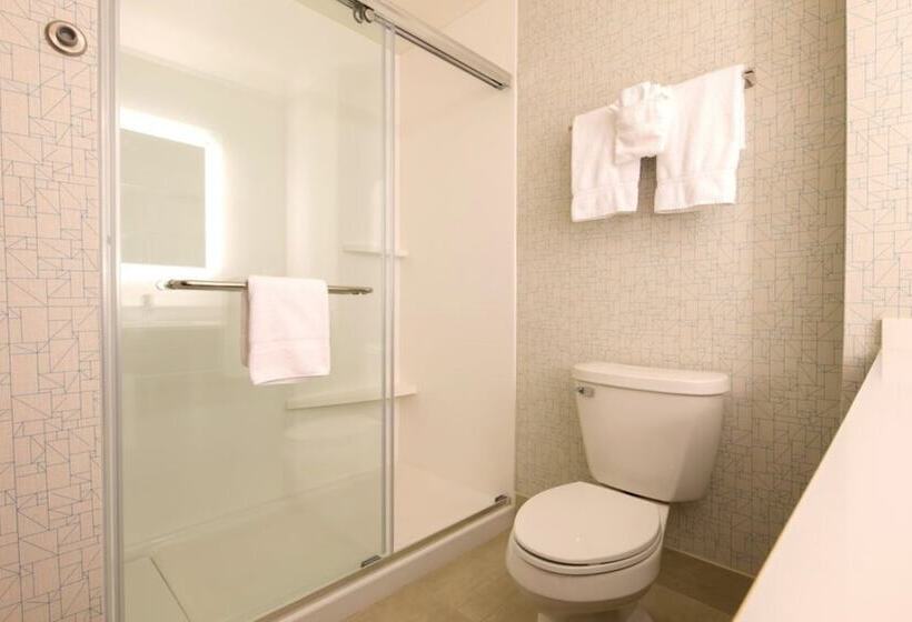 Номер Стандарт, Holiday Inn Express Hotel & Suites Chesterfield   Selfridge Area, An Ihg