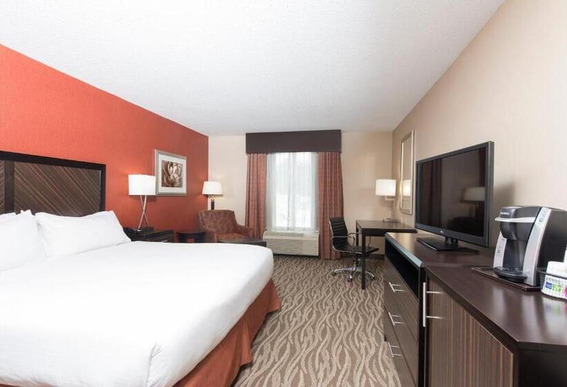 스탠다드 룸 킹사이즈 침대, Holiday Inn Express Hotel & Suites Grand Rapids North, An Ihg