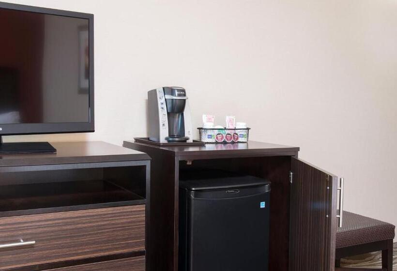 스탠다드 룸 킹사이즈 침대, Holiday Inn Express Hotel & Suites Grand Rapids North, An Ihg
