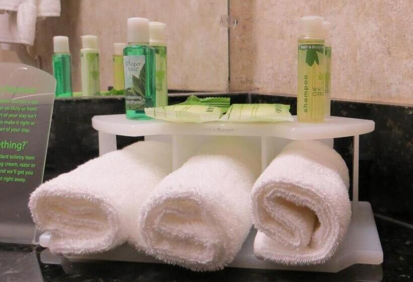 חדר סטנדרט עם מיטת קינג, Holiday Inn Express & Suites Macon   I 475, An Ihg