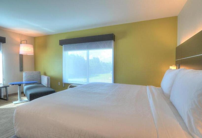 Стандартный Номер Кровать Кинг, Holiday Inn Express Hotel & Suites Mobile Saraland, An Ihg
