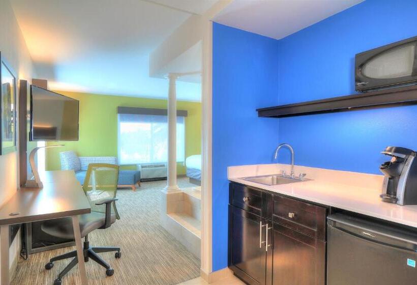 Стандартный Номер Кровать Кинг, Holiday Inn Express Hotel & Suites Mobile Saraland, An Ihg