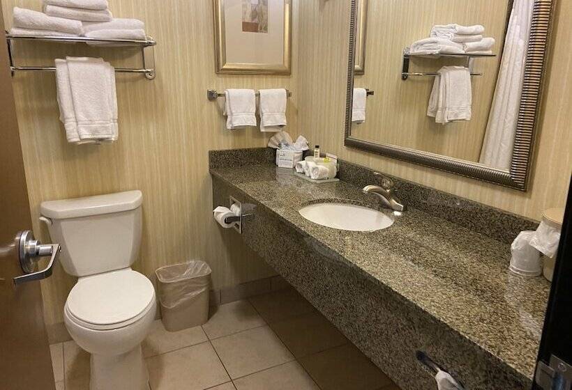 Quarto Estandar, Holiday Inn Express Hotel & Suites Silt   Rifle, An Ihg