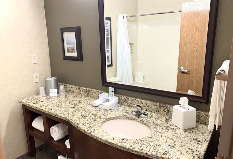 Номер Стандарт 2 Двуспальные Кровати, Holiday Inn Express Holland, An Ihg
