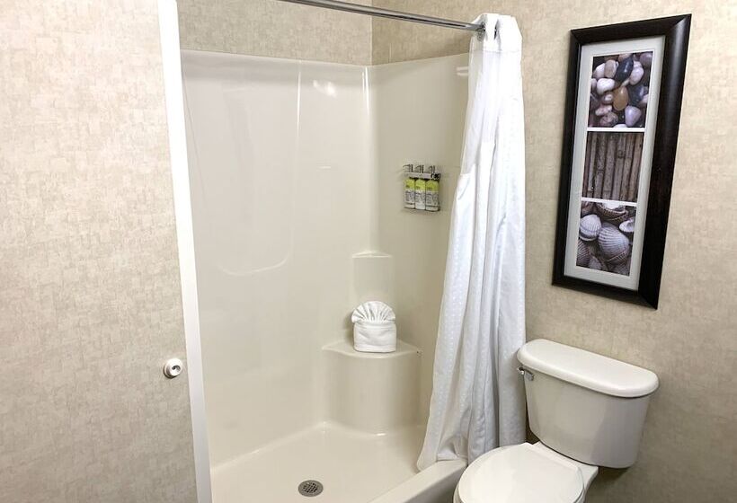 Номер Executive, Holiday Inn Express Holland, An Ihg