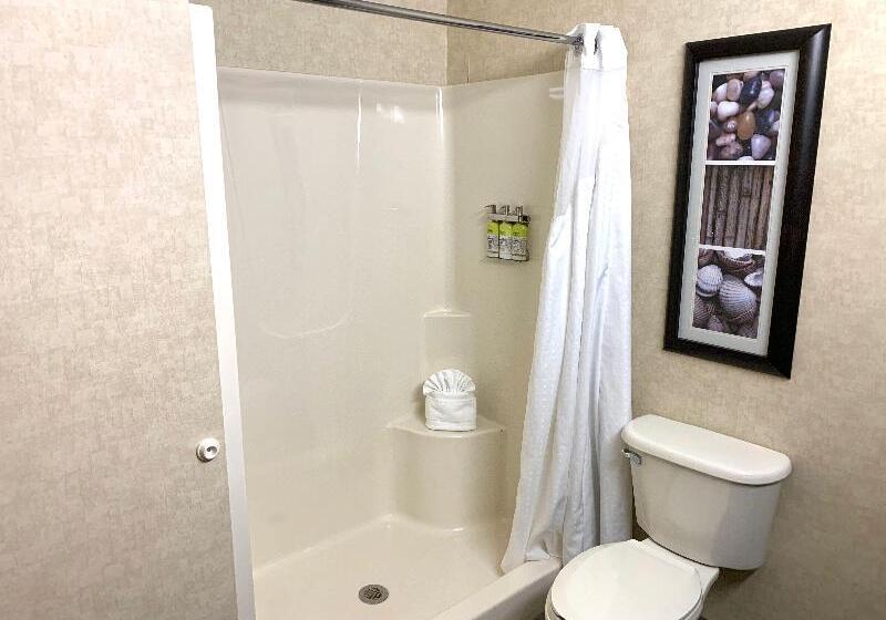 Стандартный Номер Кровать Кинг, Holiday Inn Express Holland, An Ihg