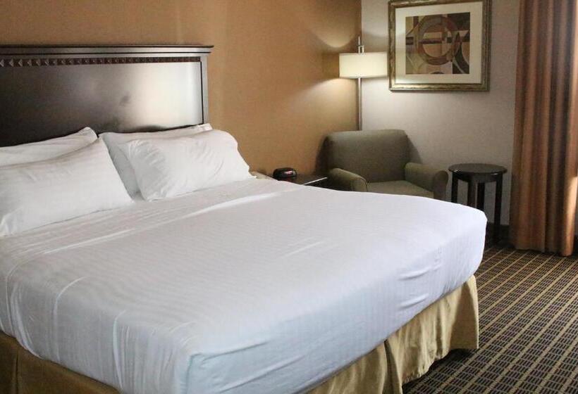 اتاق استاندارد با تخت بزرگ, Holiday Inn Express Kansas City Liberty Missouri, An Ihg