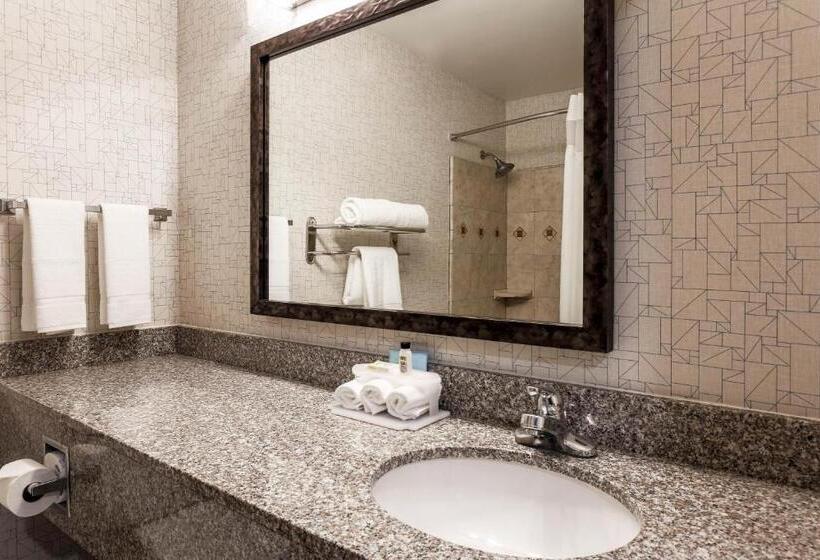 이그제큐티브 스위트, Holiday Inn Express Lancaster, An Ihg